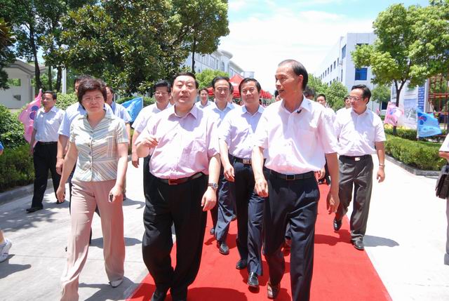 国家电网公司党组书记、总经理刘振亚、江苏省副省长史和平等领导来上上视察
